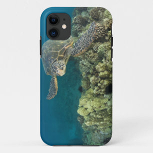The Green Sea Turtle, (Chelonia mydas), is the 2 iPhone 11 Case