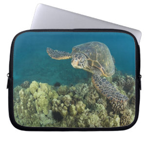 The Green Sea Turtle, (Chelonia mydas), is the 2 Laptop Sleeve