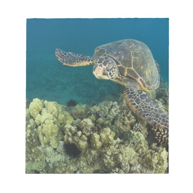 The Green Sea Turtle, (Chelonia mydas), is the 2 Notepad (Front)
