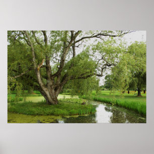 The Greens of Grand Pre Poster