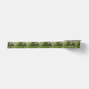 The Greens of Grand Pre Satin Ribbon