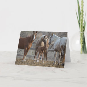 The Greeting: Galloping to Freedom Greeting Card