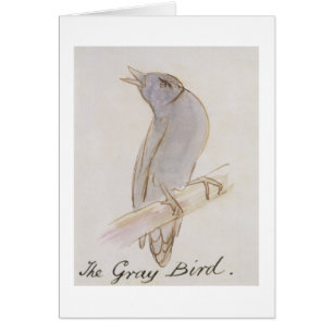 The Grey Bird, from 'Sixteen Drawings of Comic Bir