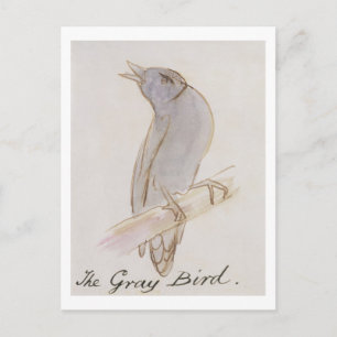 The Grey Bird, from 'Sixteen Drawings of Comic Bir Postcard