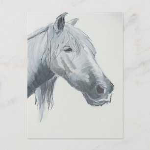 The Grey Gaze Postcard