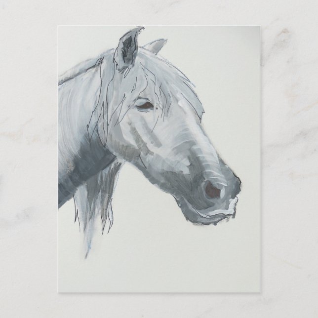 The Grey Gaze Postcard (Front)