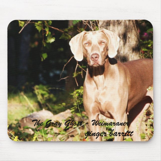 The Grey Ghost - Weimaraner, ginger ... Mouse Pad (Front)