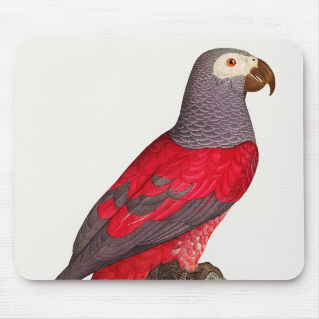 The Grey Red Parrot, Psittacus erithacus Mouse Pad (Front)