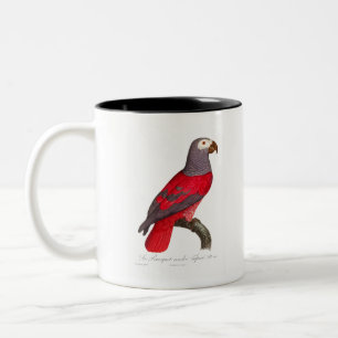 The Grey Red Parrot, Psittacus erithacus Two-Tone Coffee Mug