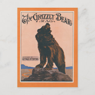 The Grizzly Bear Rag Postcard