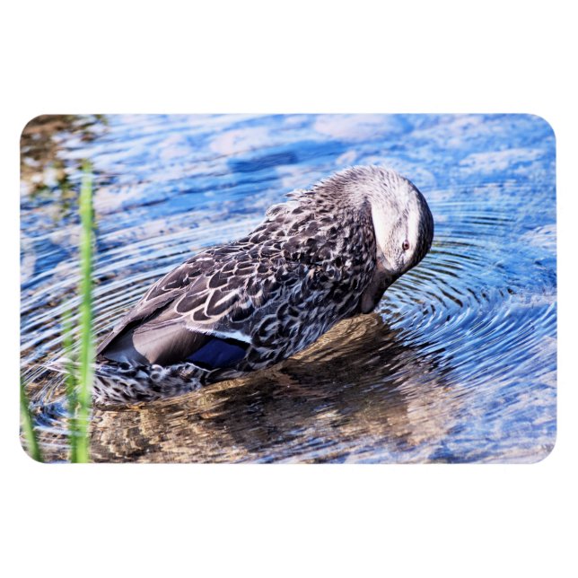 The Grooming Effect Magnet (Horizontal)