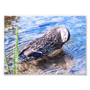 The Grooming Effect Photo Print