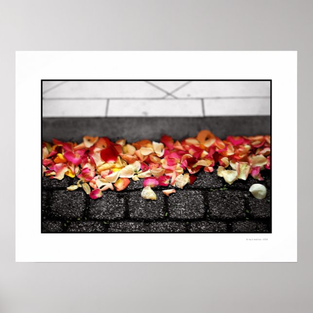 THE GROUND YOU WALKED ON Poster (Front)