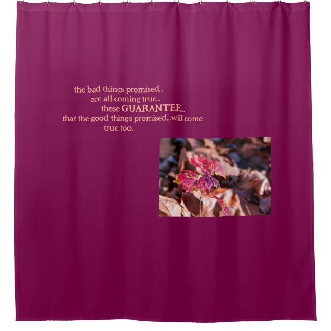 The Guarantee-Shower Curtain (Front)