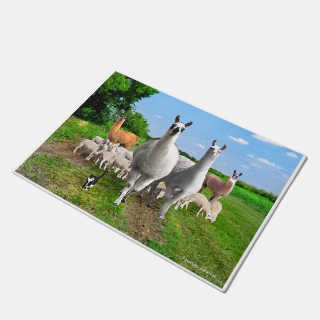 "The Guard Llamas"  Doormat (Angled)