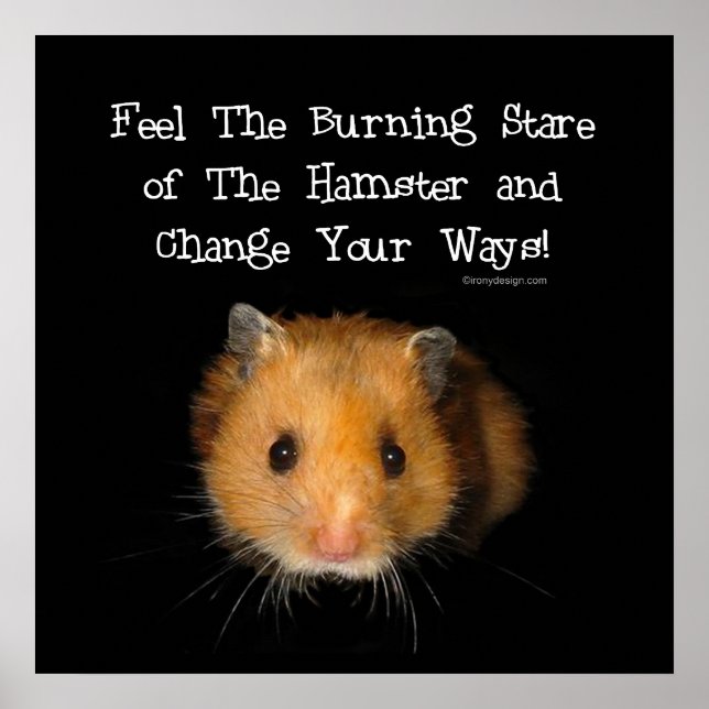The Hamster Poster (Front)