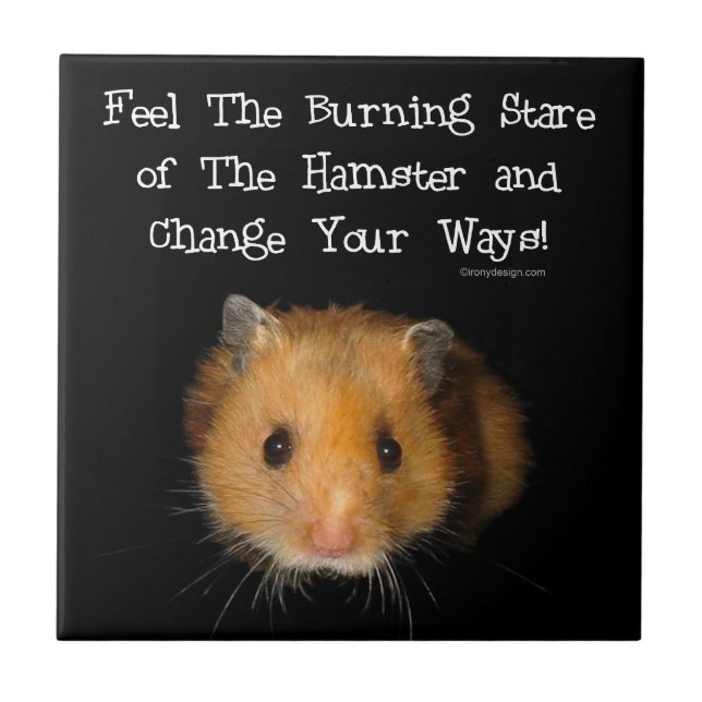 The Hamster Stare Ceramic Tile (Front)