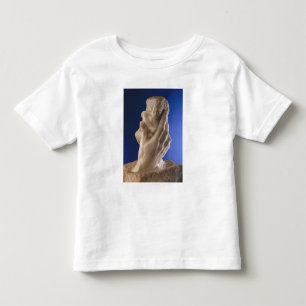 The Hand of God, 1898 Toddler T-Shirt