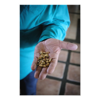 The Hand That Guides Photo Print