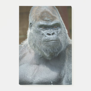 The Handsome Silverback Post-it Notes