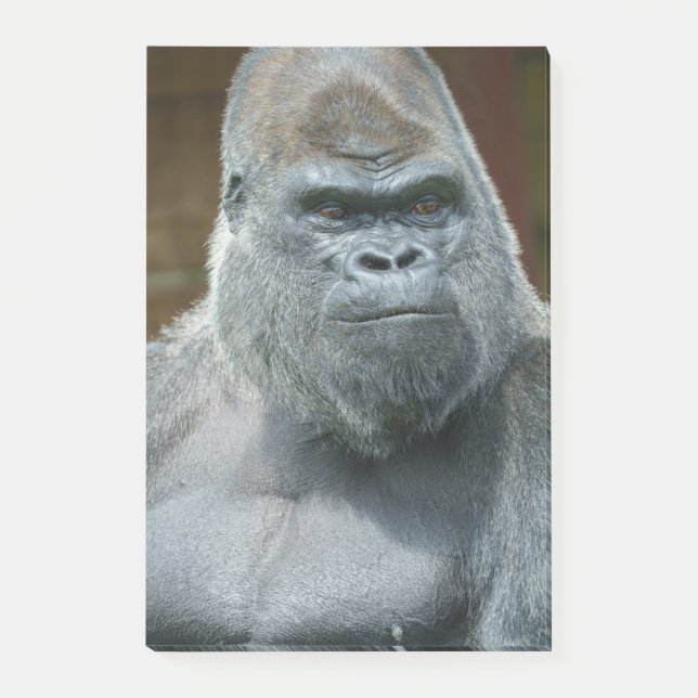 The Handsome Silverback Post-it Notes (Front)