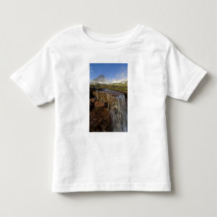 The Hanging Gardens at Logan Pass in Glacier Toddler T-Shirt