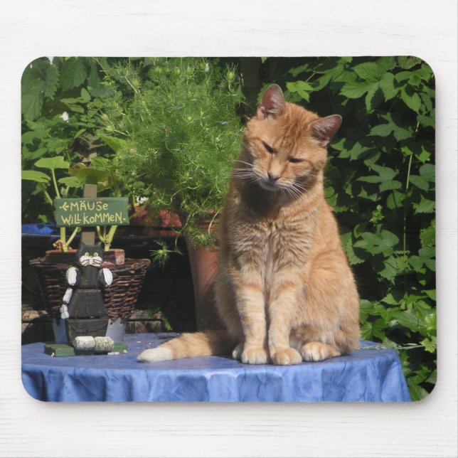The Hangover, Cats, Animals Mouse Pad (Front)