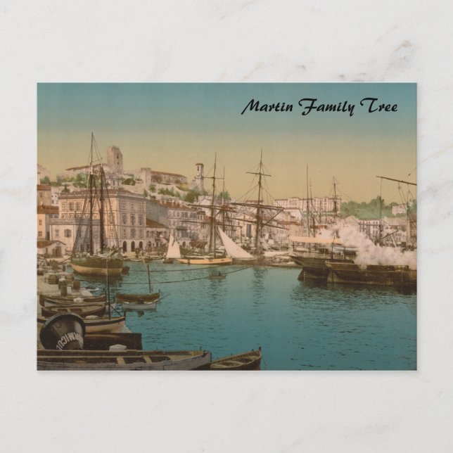 The Harbour at Cannes, France Postcard (Front)