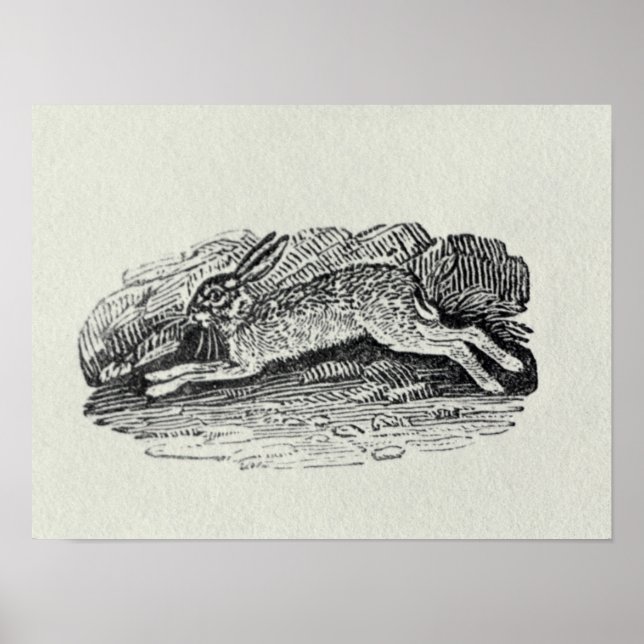 The Hare Poster (Front)