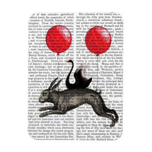 The Hare Ship Magnet