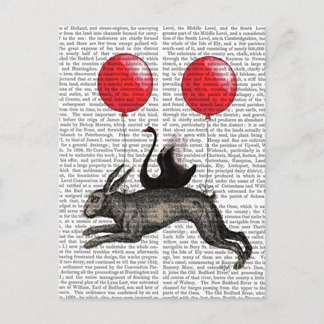 The Hare Ship Postcard (Front)