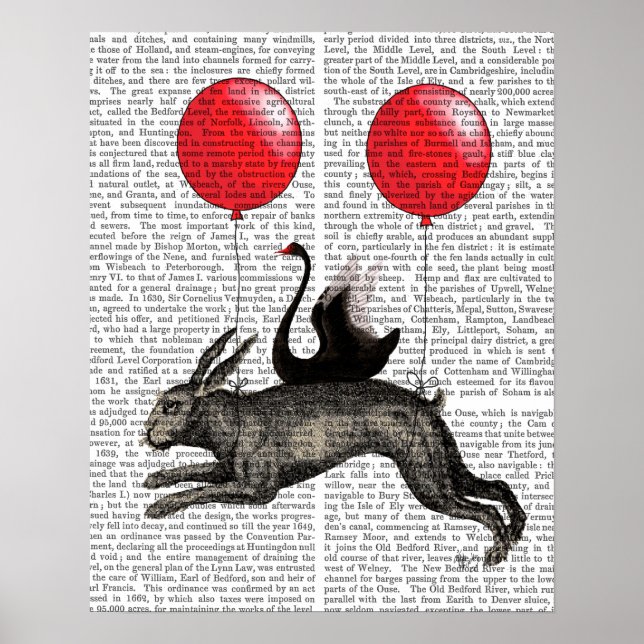 The Hare Ship Poster (Front)