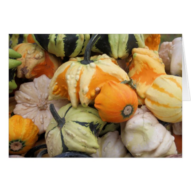 The Harvest (Front Horizontal)