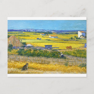 The Harvest Cat Postcard