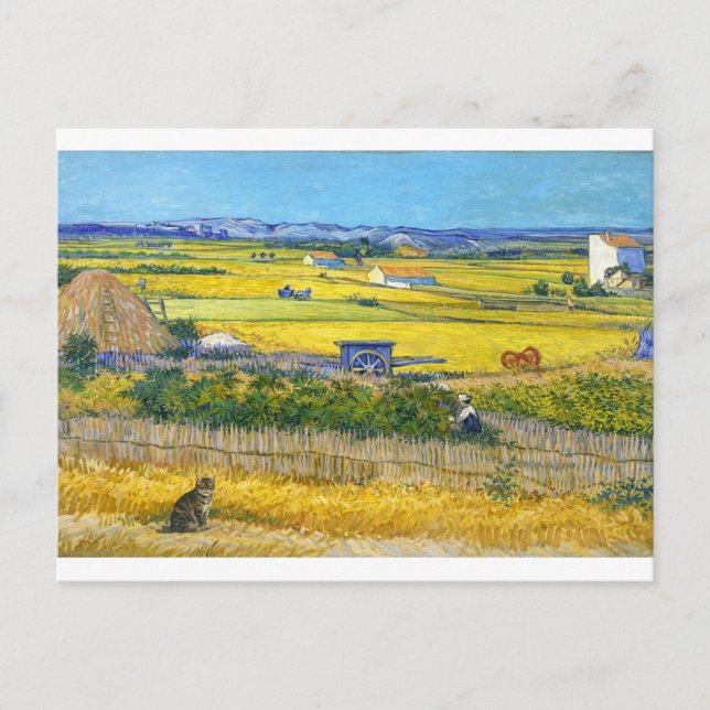 The Harvest Cat Postcard (Front)