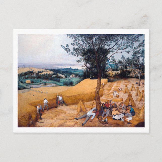 The Harvesters, Pieter Bruegel Postcard (Front)
