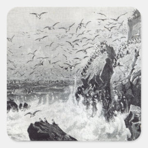 The Haunt of the Gulls Square Sticker
