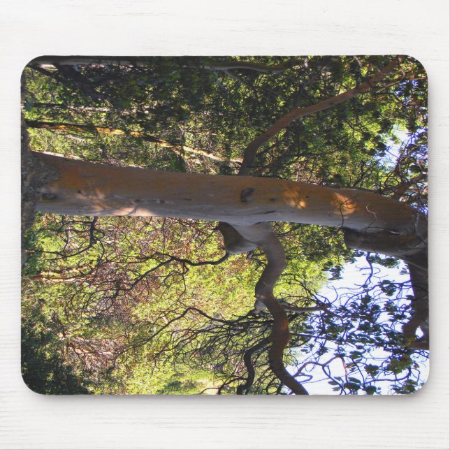 The Haunted  tree... Mouse Pad (Front)