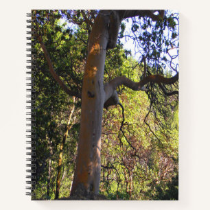 The Haunted tree.... Notebook