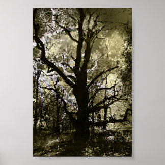 The Haunted Tree Poster