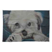 The Havanese