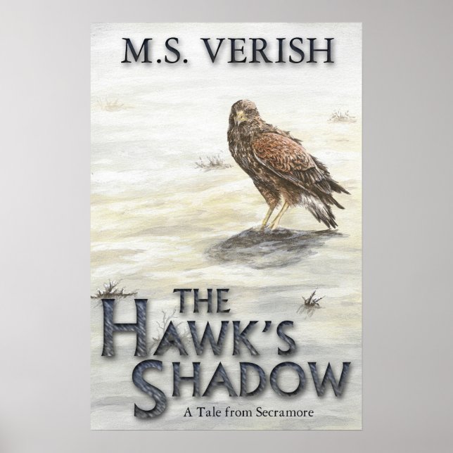 The Hawk's Shadow Poster (Front)
