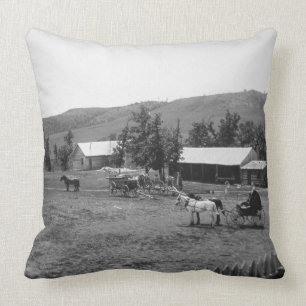 The Haylie Ranch, Crook County, Wyoming, c.1890 (b Cushion