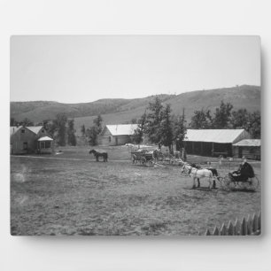 The Haylie Ranch, Crook County, Wyoming, c.1890 (b Plaque