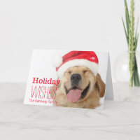 The head and goofy smile of a happy dog