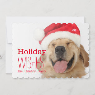 The head and goofy smile of a happy dog holiday card