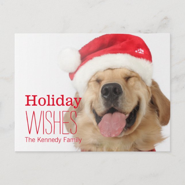 The head and goofy smile of a happy dog holiday postcard (Front)