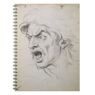 The head of a man screaming in terror, a study for notebook