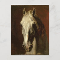The head of white horse by Theodore Gericault