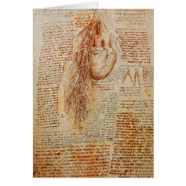 The Heart and the Bronchial Arteries Parchment (Front)